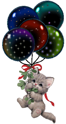 p'tit chaton