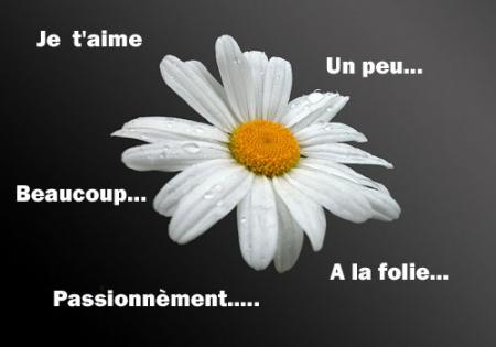 JTM mon amour